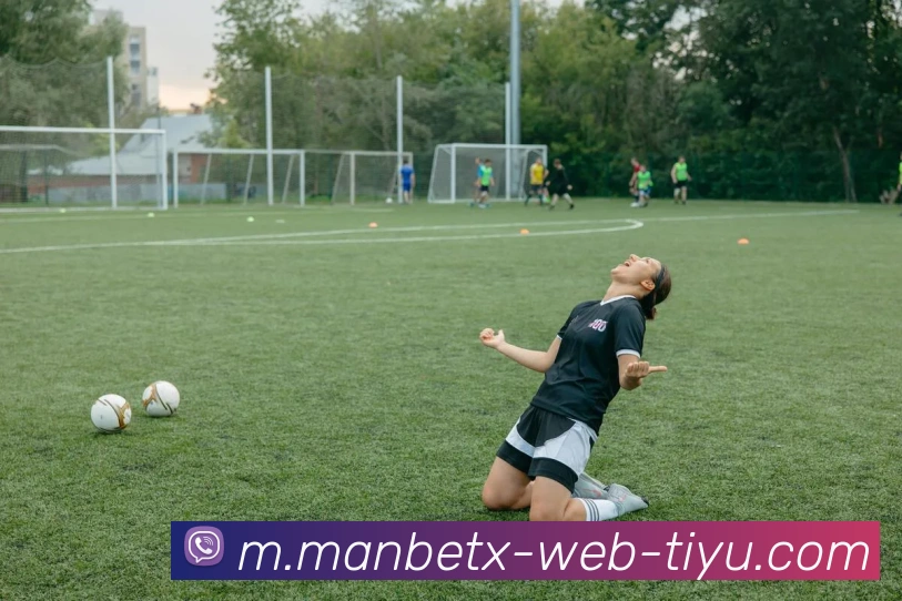 多媒体互动体验